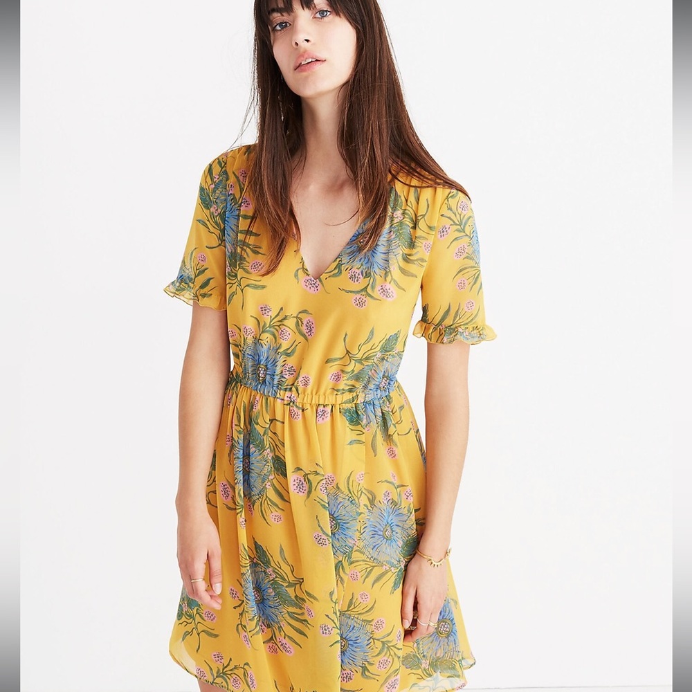 Madewell Sweetgrass Ruffle Sleeve Dress in Painted Blooms